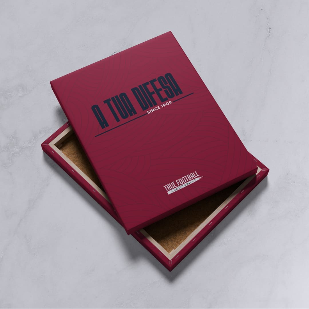 Quadro del Tifoso "A Tua Difesa"