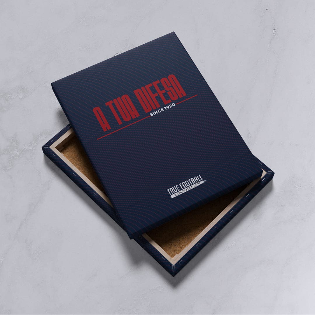 Quadro del Tifoso "A Tua Difesa"