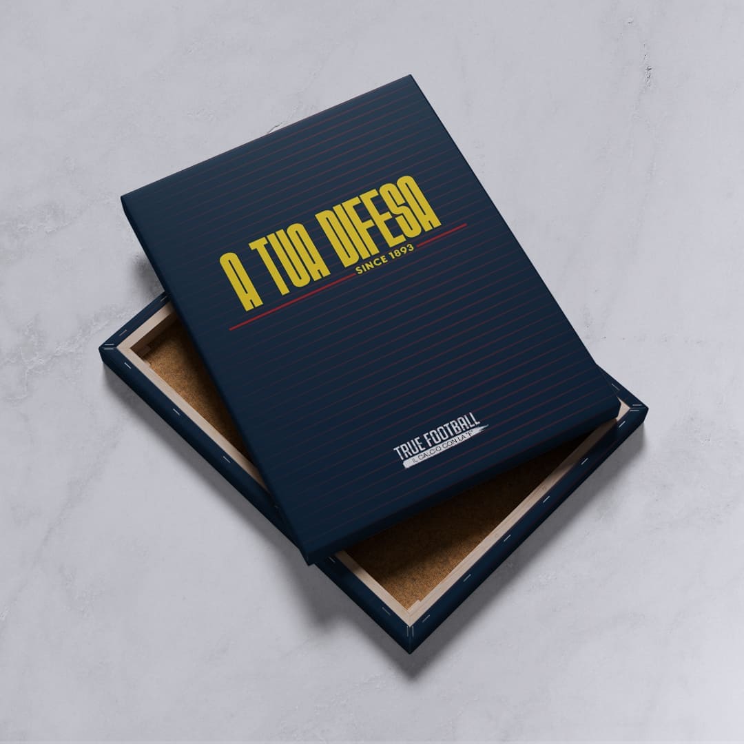 Quadro del Tifoso "A Tua Difesa"