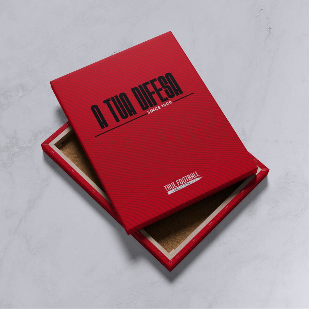 Quadro del Tifoso "A Tua Difesa"