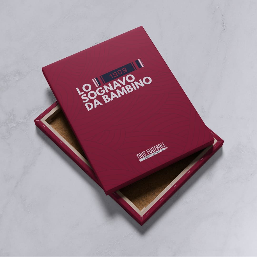 Quadro del Tifoso "Lo Sognavo da Bambino"